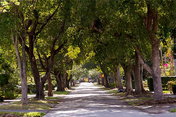 Lovely Coral Gables