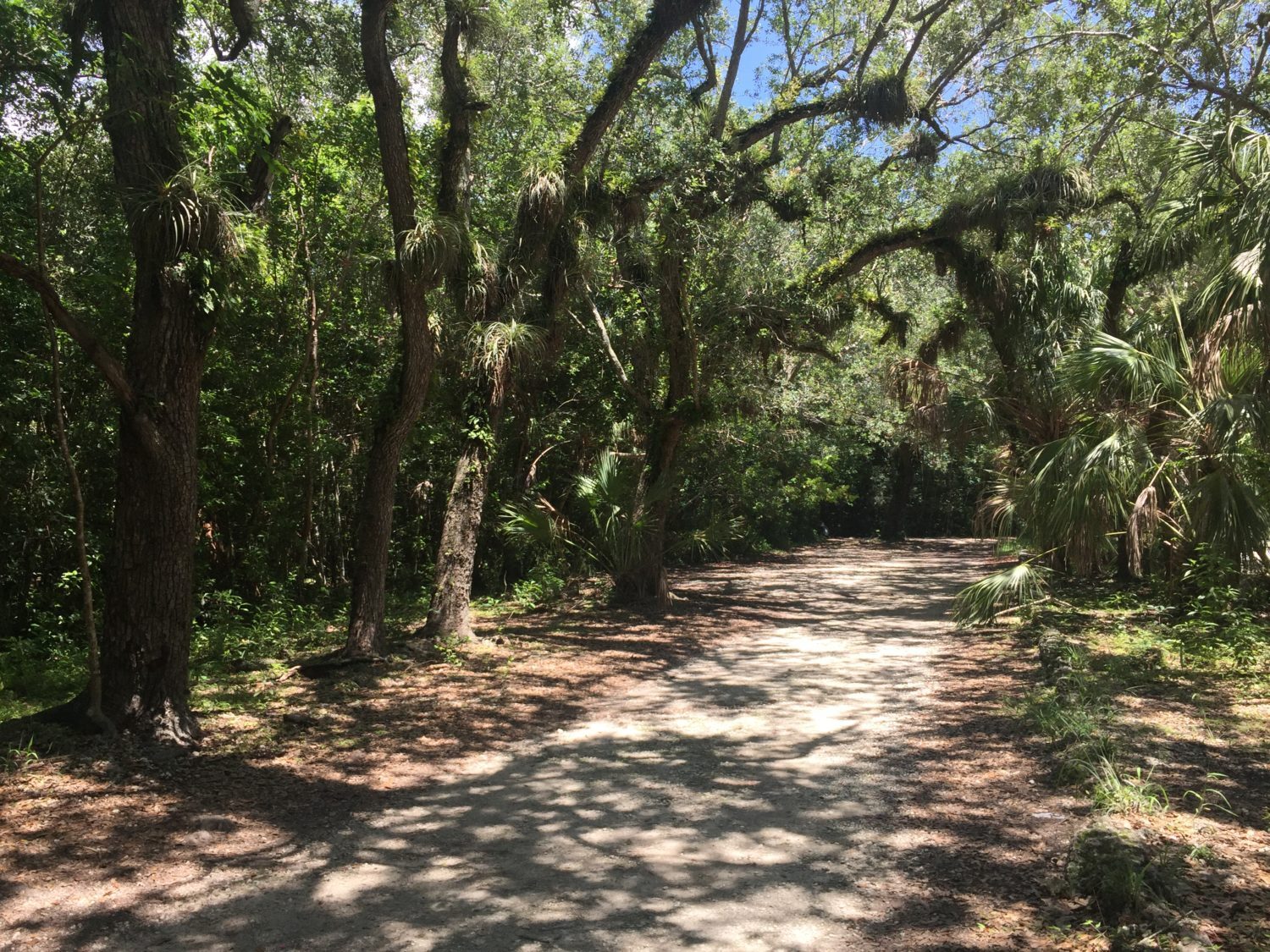 Enter to Win A Family Annual Membership at Fairchild Tropical Botanic Garden