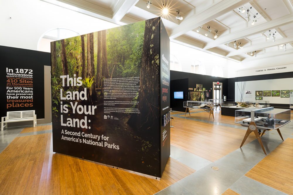 Are You Taking Advantage of All The Programs Offered By The Coral Gables Museum?