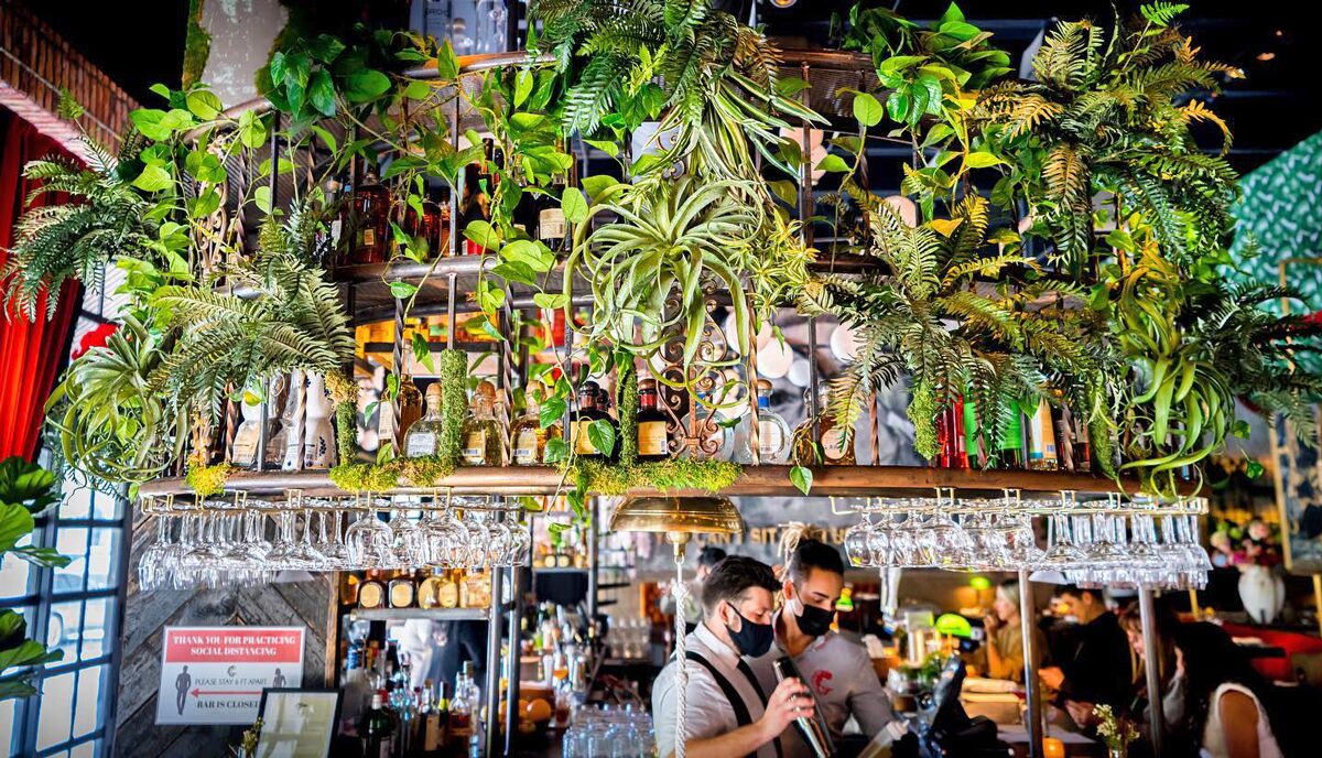 The Gramercy New Restaurant in Coral Gables bar with plants above