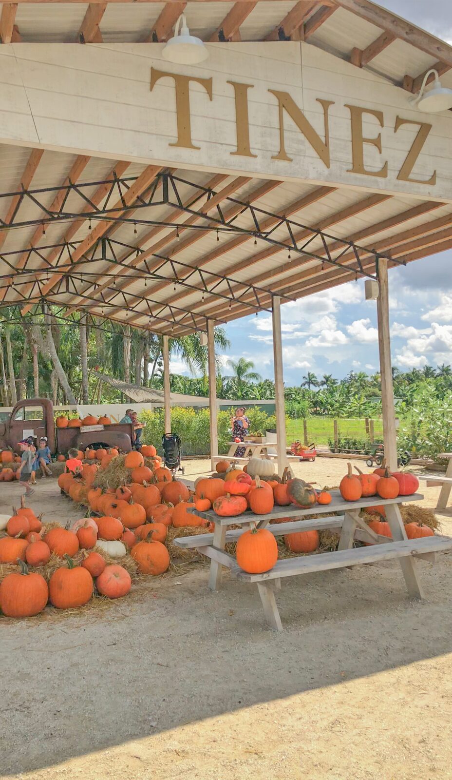Tinez Farms Promo Code: CGLOVE