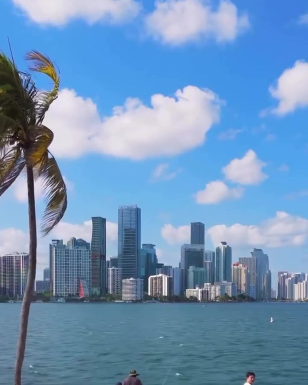 Outdoor Things to Do in Miami: A Local Chef's Stress-Relief Picks