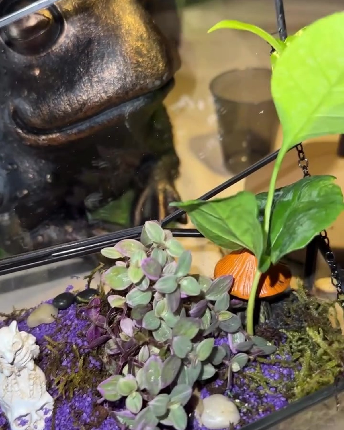Carnivorous Terrarium Workshop in Miami: Drafts, Crafts, and Plants That Bite Back